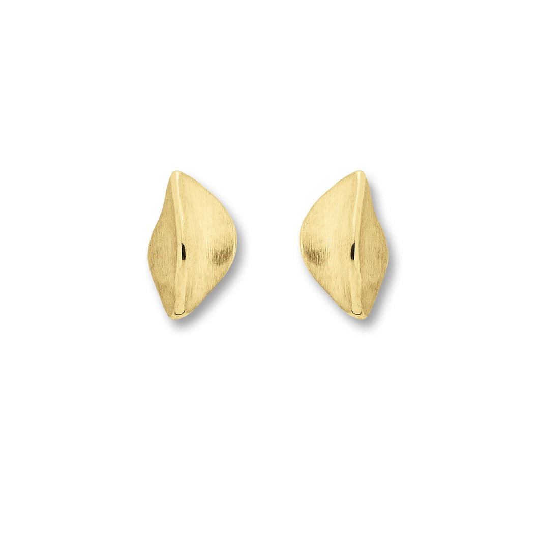 Ohrstecker 333/- Gelbgold